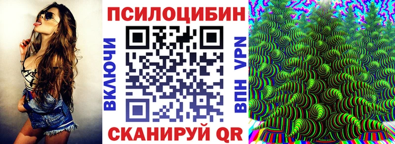 Псилоцибиновые грибы ЛСД  Луга 