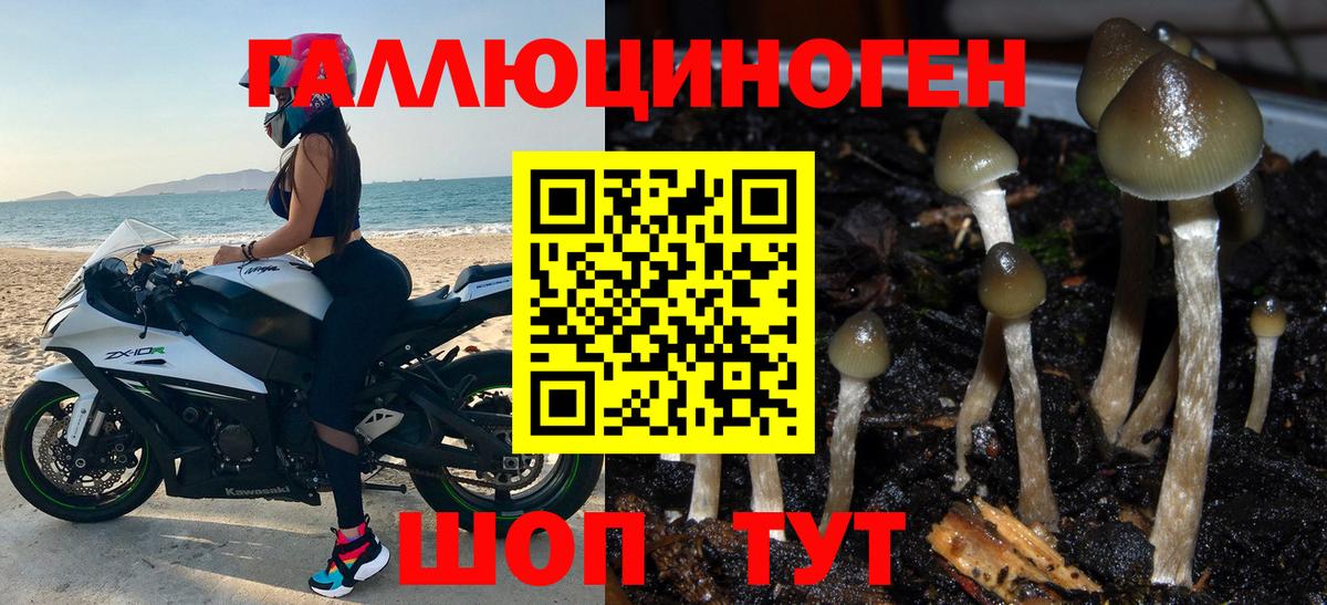 Галлюциногенные грибы прущие грибы Луга
