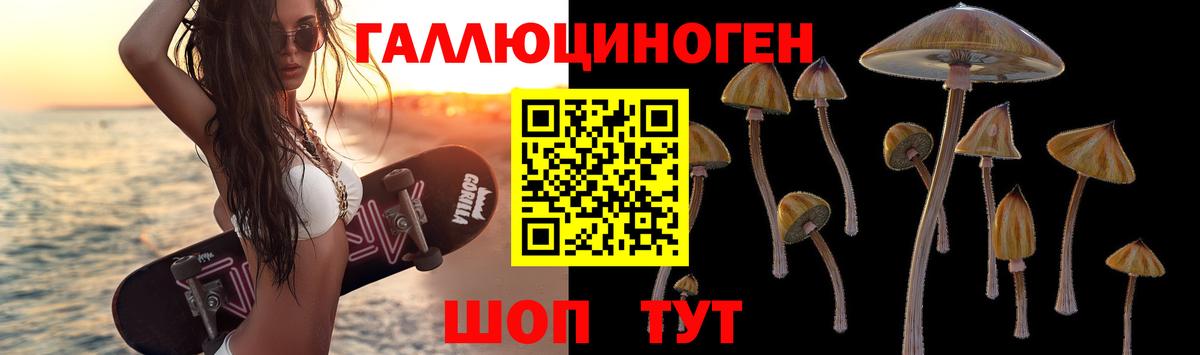 Псилоцибиновые грибы мицелий  Вход с VPN  Луга 